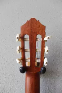 ویژگی و مشخصات گیتار یاماها C330